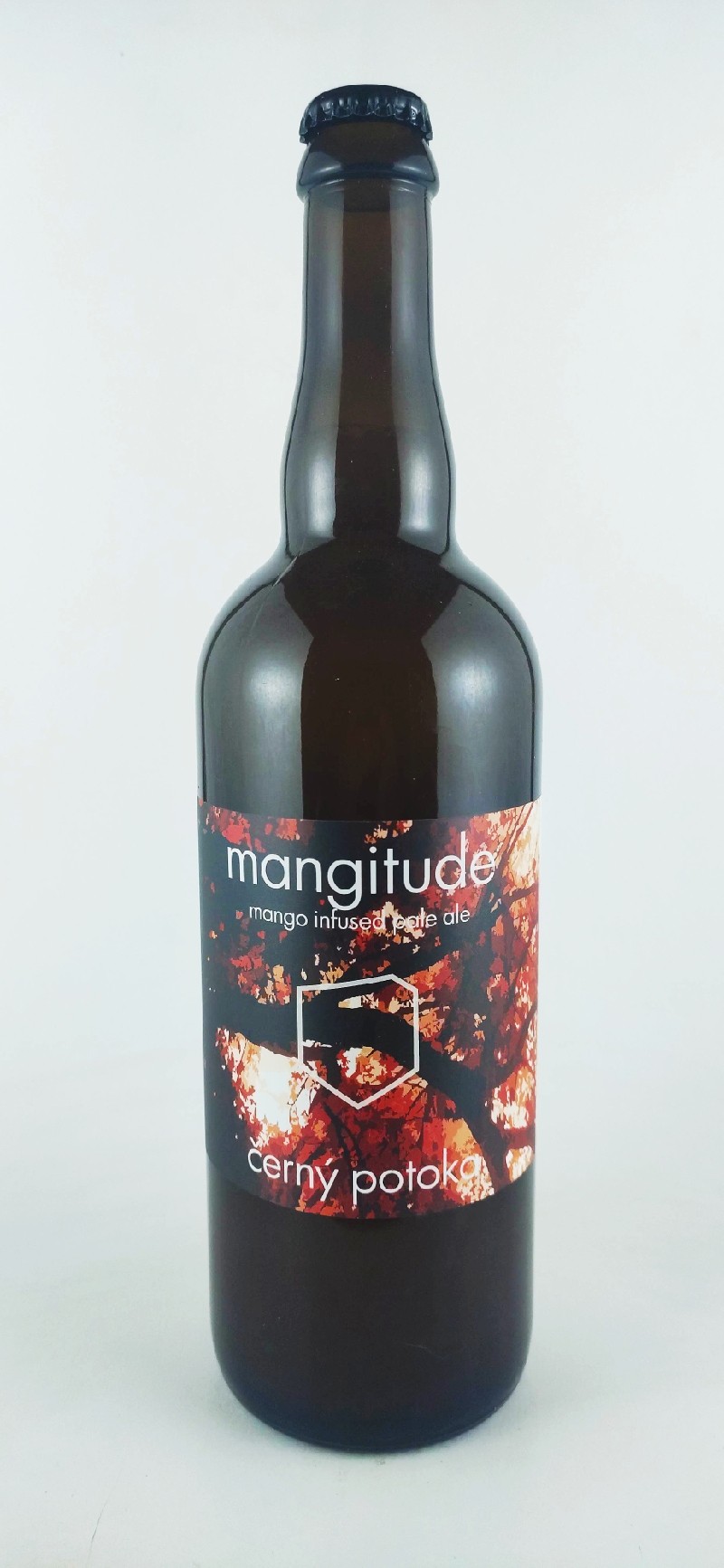 Černý potoka Mangitude Pale Ale 13°