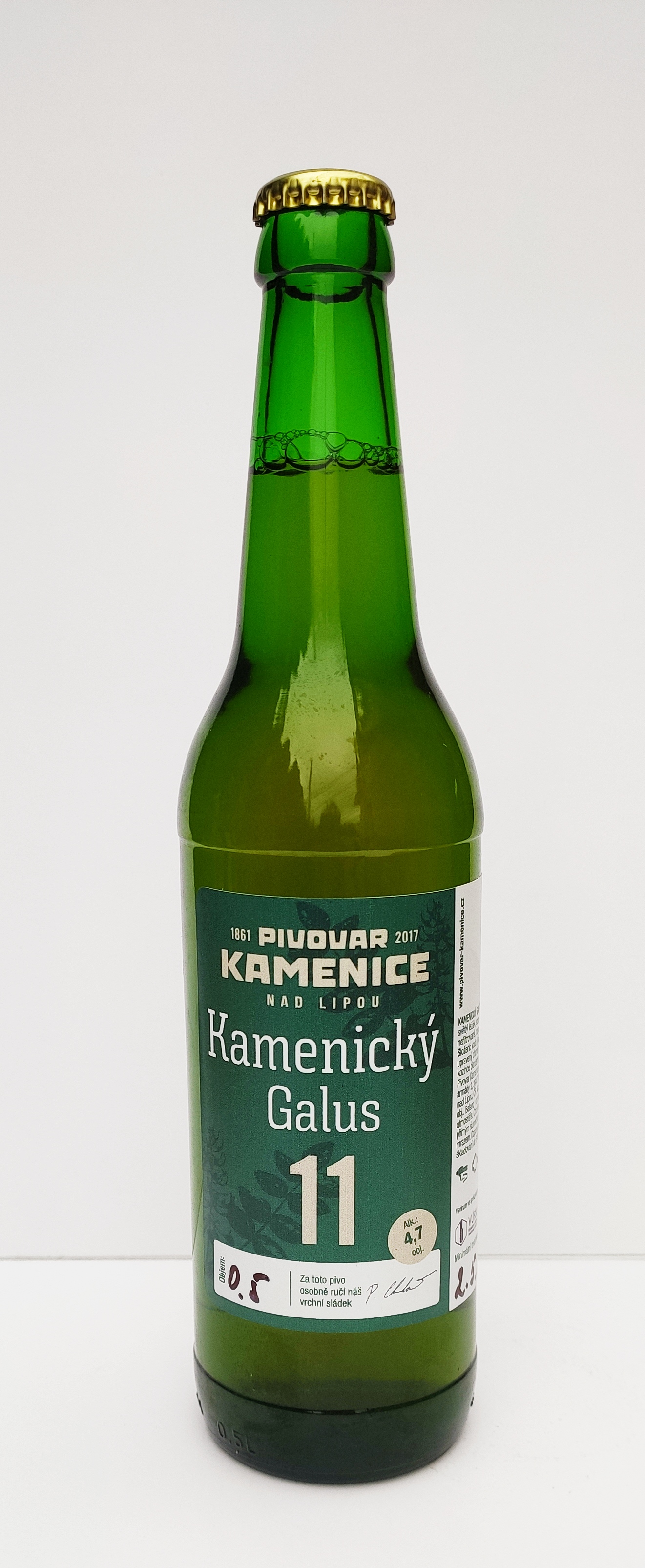 Kamenice Galus 11°