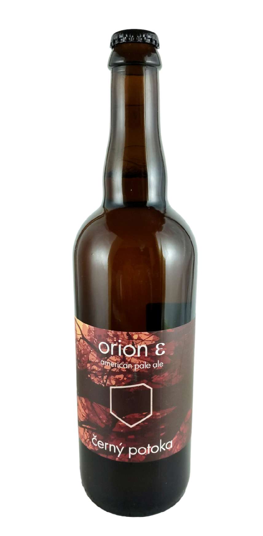 Černý potoka Orion Epsilon Pale Ale 12°