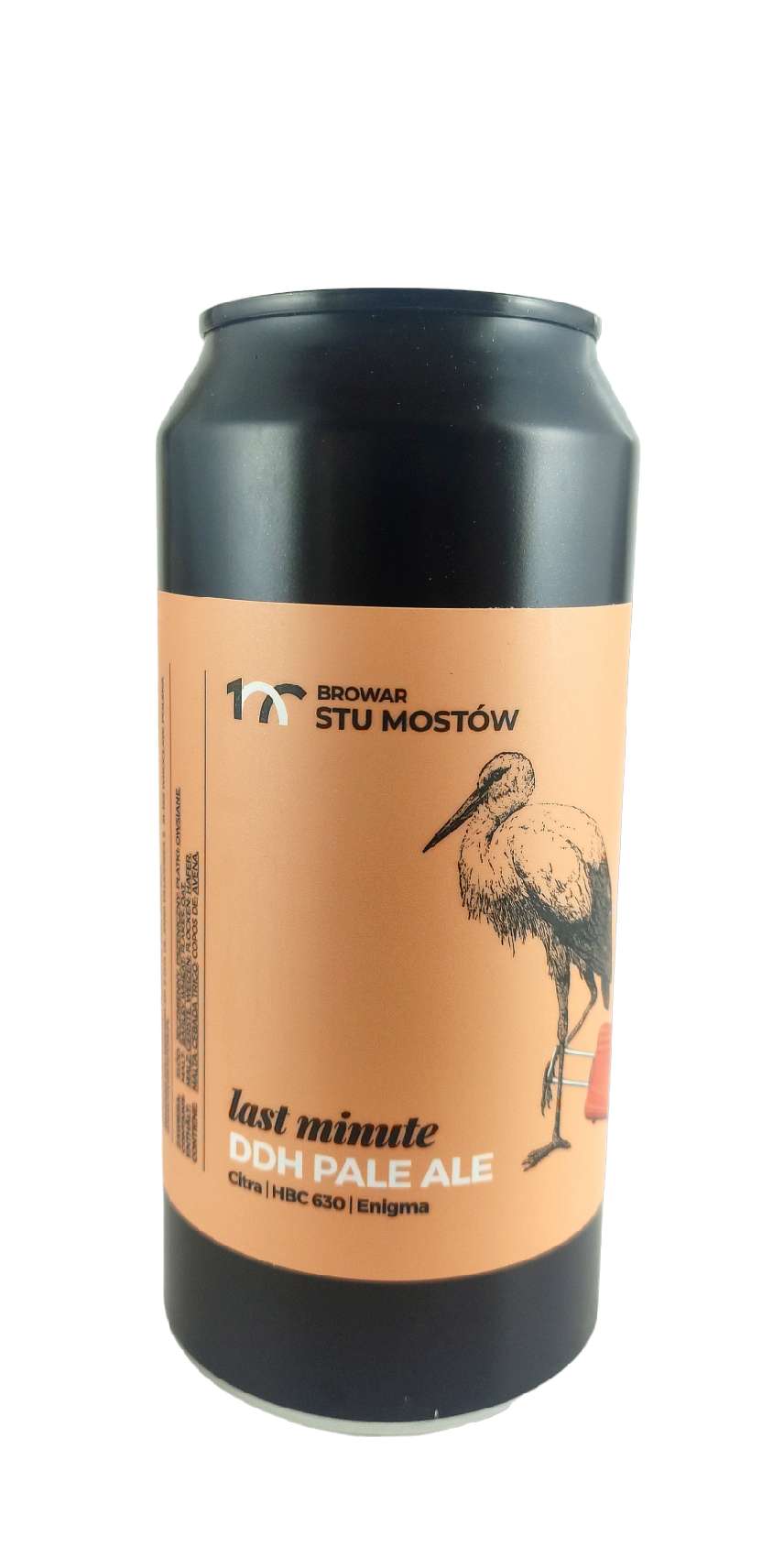Stu Mostow Last minute DDH Pale ALE