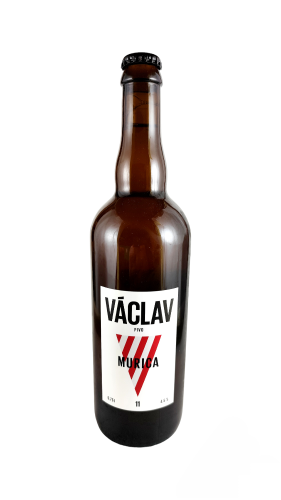 Kladno Václav Murica APA 11°