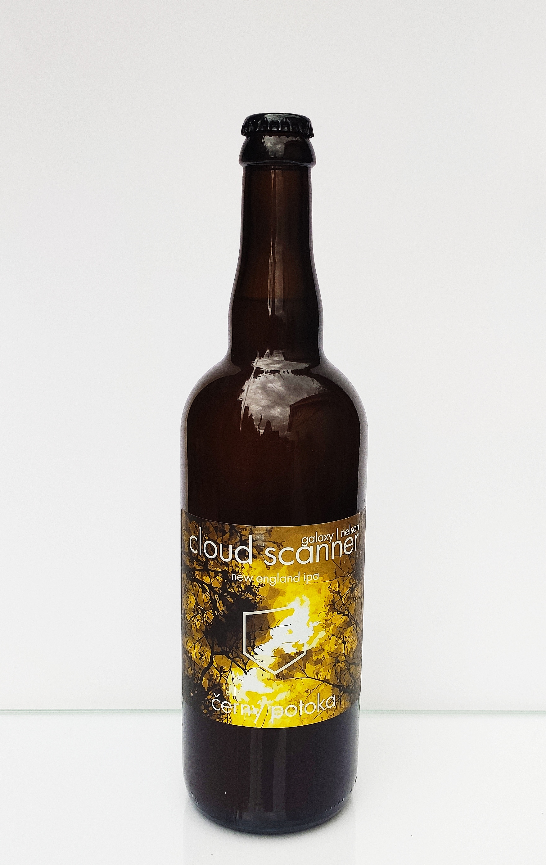 Černý potoka Cloud Scanner Galaxy/Nelson NEIPA 15°
